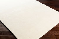 2' x 3'