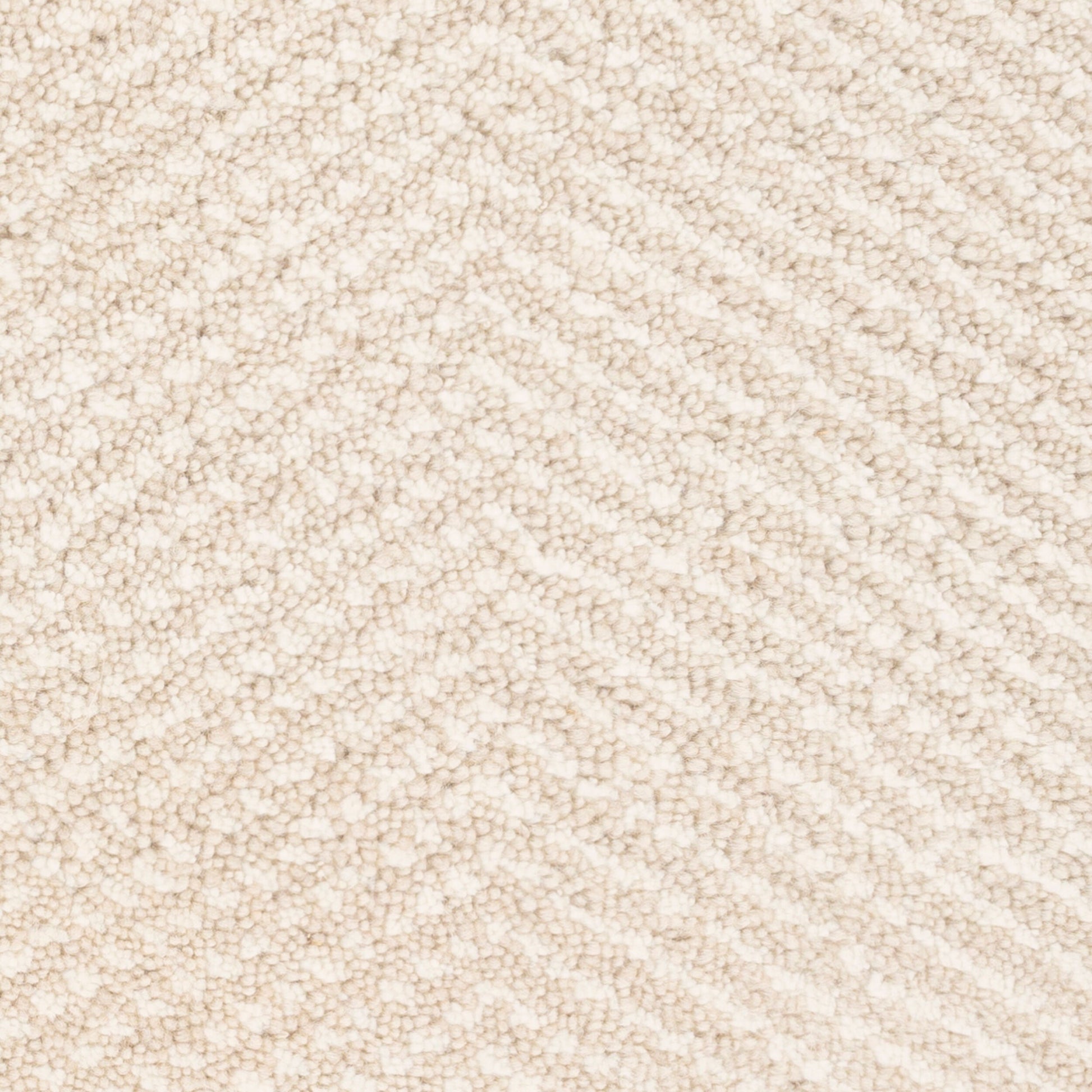 Parma PMA-2304 Hand Knotted Rug