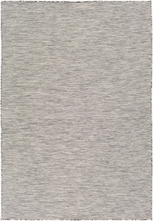 Pasadena PSA-2300 5' x 7' Machine Woven Indoor/Outdoor Area Rug