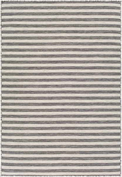 Pasadena PSA-2304 4' x 6' Machine Woven Indoor/Outdoor Area Rug