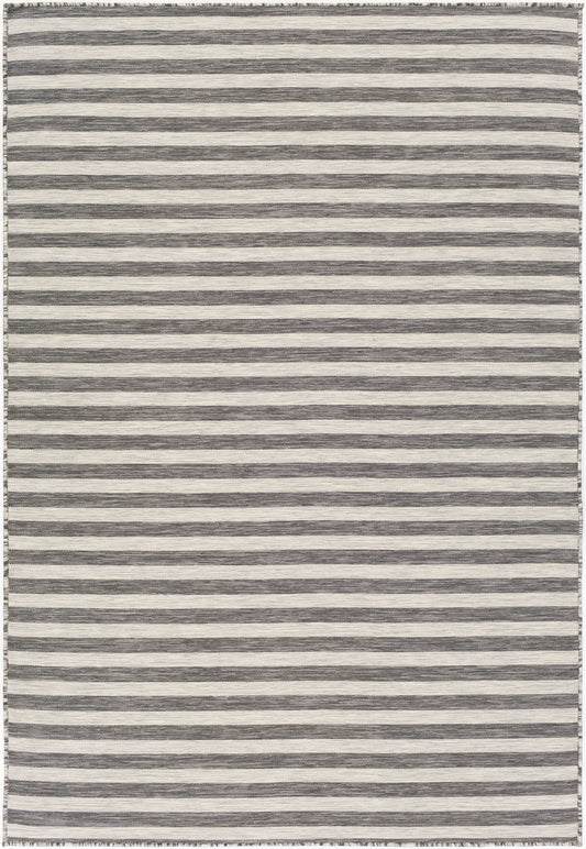 Pasadena PSA-2304 4' x 6' Machine Woven Indoor/Outdoor Area Rug