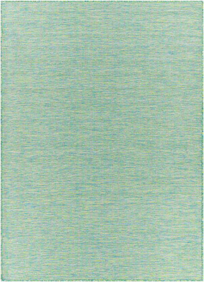 Pasadena PSA-2306 5' x 7' Machine Woven Indoor/Outdoor Area Rug