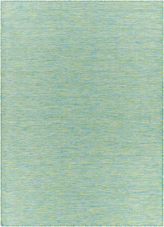 Pasadena PSA-2306 6' x 9' Machine Woven Indoor/Outdoor Area Rug