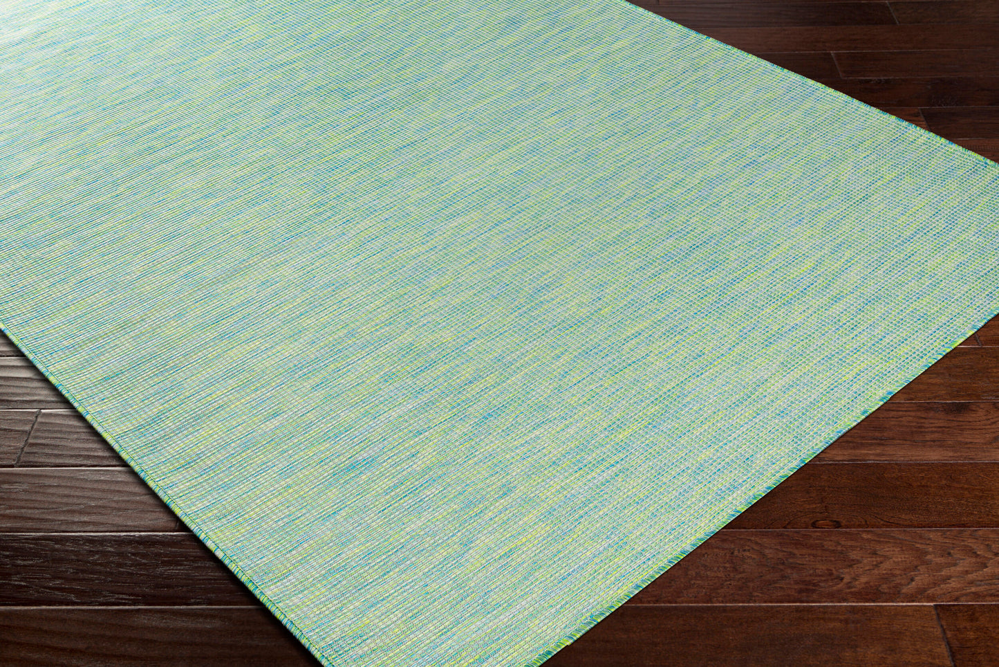 Pasadena PSA-2306 5' x 7' Machine Woven Indoor/Outdoor Area Rug