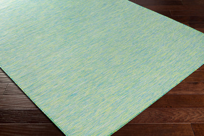 Pasadena PSA-2306 5' x 7' Machine Woven Indoor/Outdoor Area Rug
