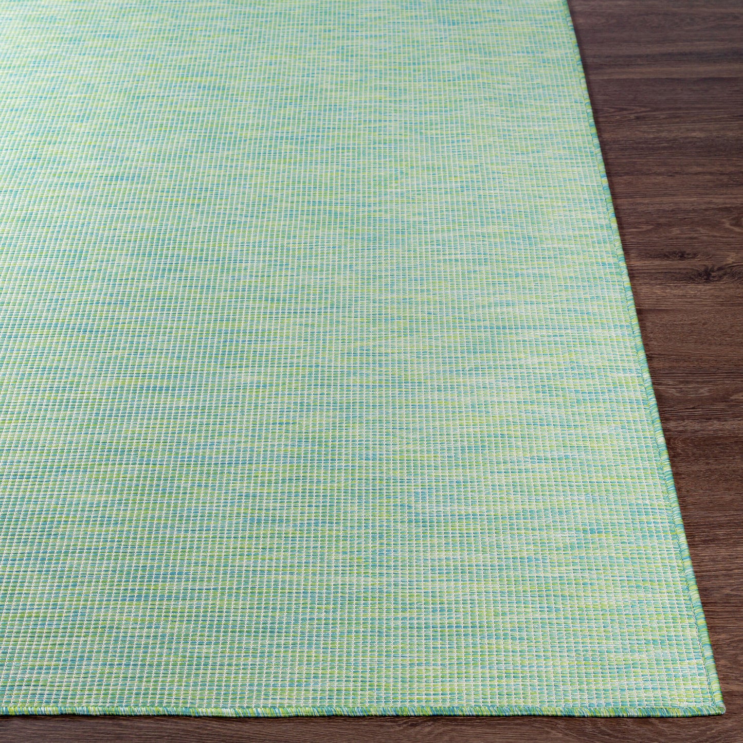 Pasadena PSA-2306 5' x 7' Machine Woven Indoor/Outdoor Area Rug