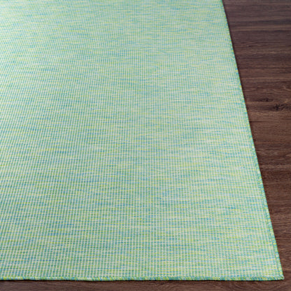 Pasadena PSA-2306 6' x 9' Machine Woven Indoor/Outdoor Area Rug