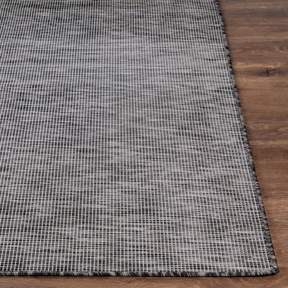 Alfombra decorativa para interior y exterior Pasadena PSA-2309 de 2' x 4', tejida a máquina