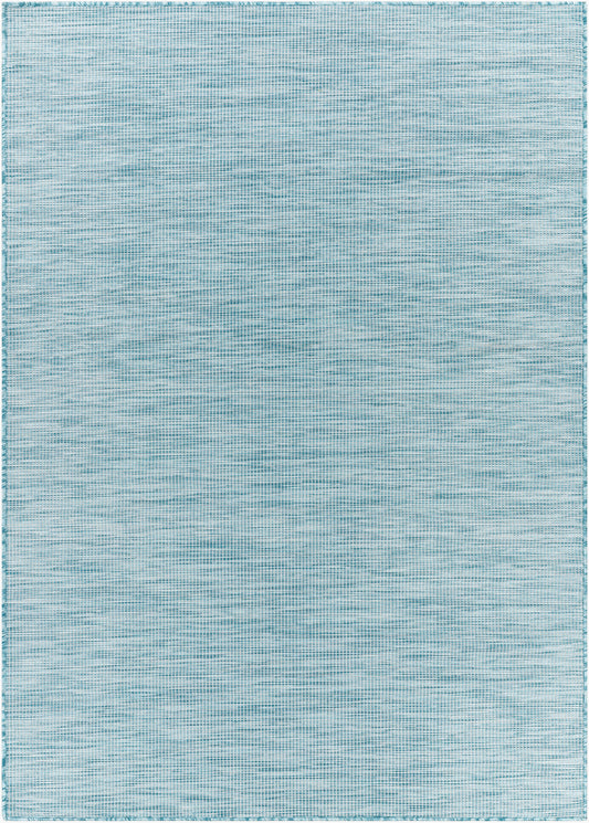 Pasadena PSA-2311 2' x 4' Machine Woven Indoor/Outdoor Accent Rug