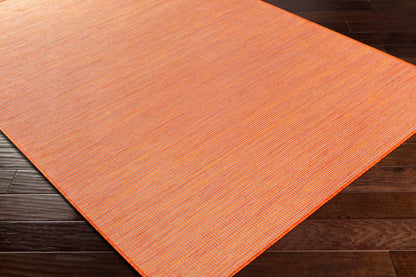 Alfombra decorativa para interior y exterior Pasadena PSA-2313 de 2' x 4', tejida a máquina