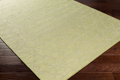 Pasadena PSA-2330 7ft Runner Machine Woven Indoor/Outdoor Runner Rug