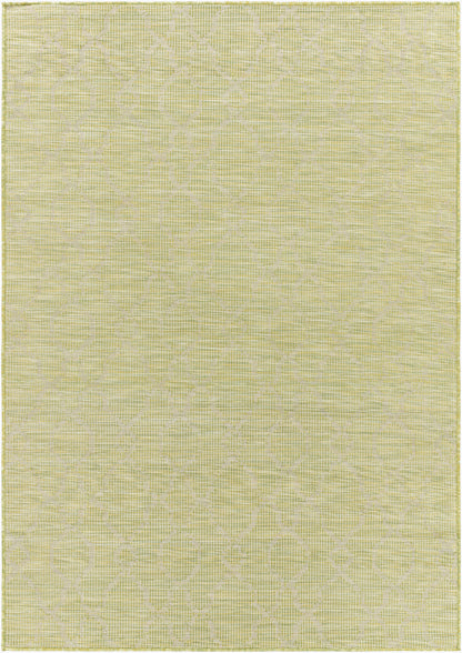 Pasadena PSA-2330 8' x 10' Machine Woven Indoor/Outdoor Area Rug