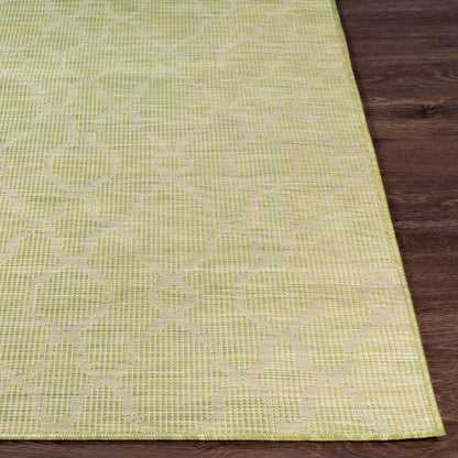 Pasadena PSA-2330 8' x 10' Machine Woven Indoor/Outdoor Area Rug