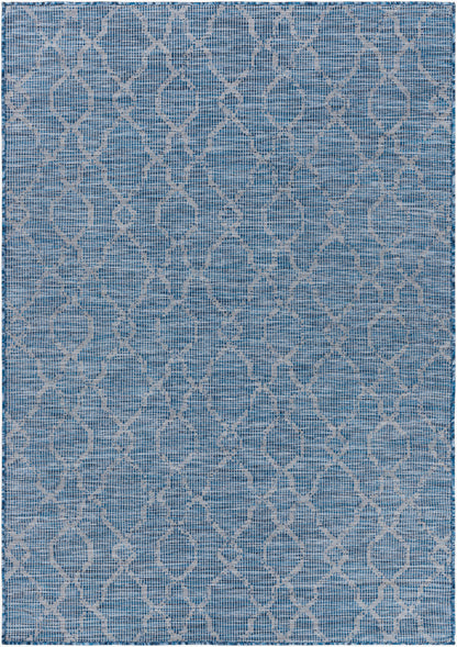 Pasadena PSA-2333 2' x 4' Machine Woven Indoor/Outdoor Accent Rug