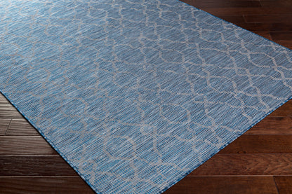 Pasadena PSA-2333 2' x 4' Machine Woven Indoor/Outdoor Accent Rug