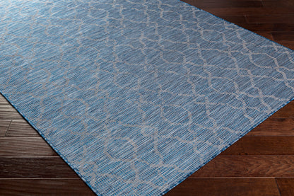 Pasadena PSA-2333 7ft Runner Machine Woven Indoor/Outdoor Runner Rug