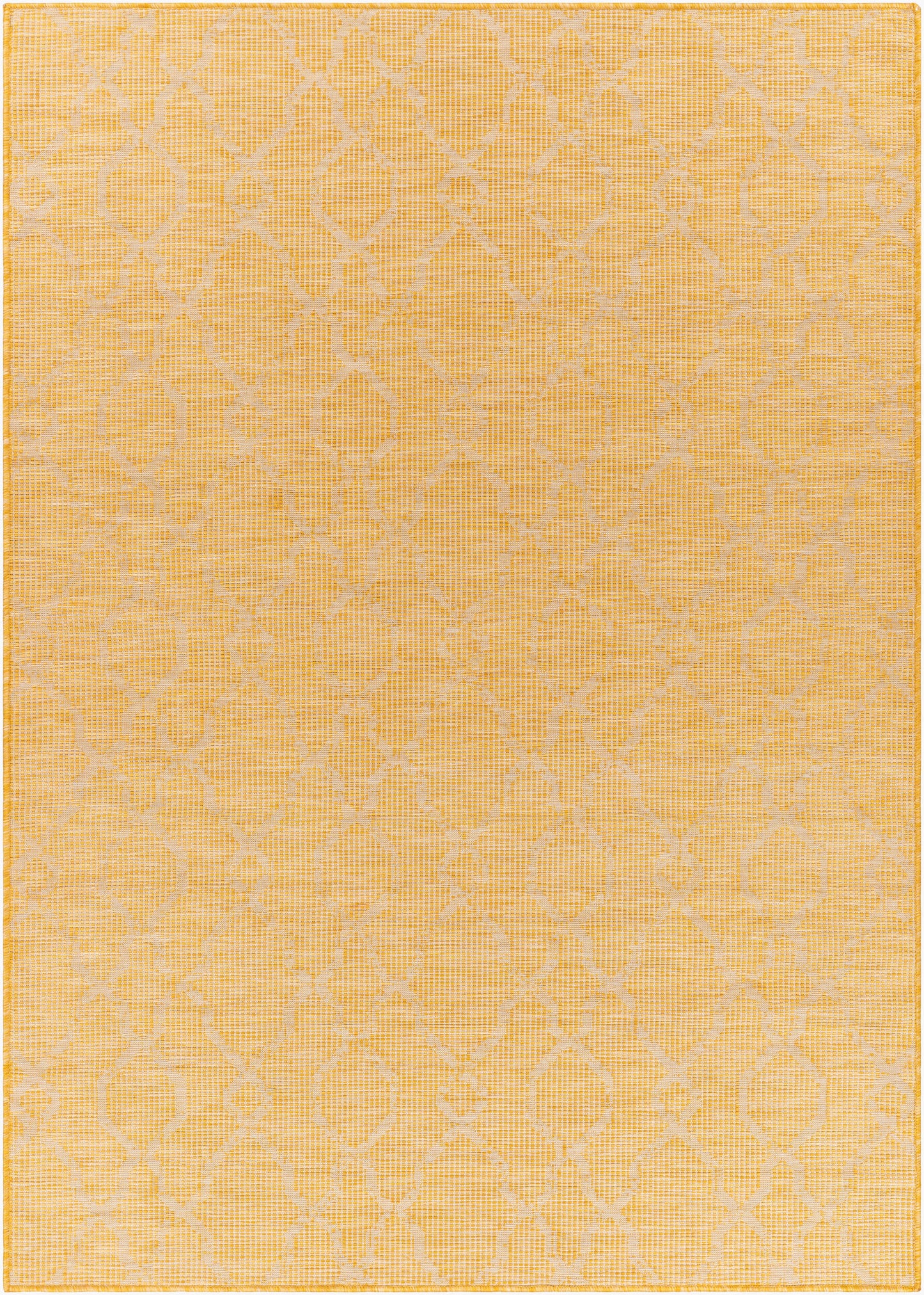 Pasadena PSA-2336 5' x 7' Machine Woven Indoor/Outdoor Area Rug