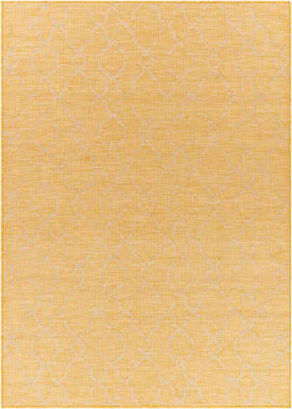 Pasadena PSA-2336 5' x 7' Machine Woven Indoor/Outdoor Area Rug