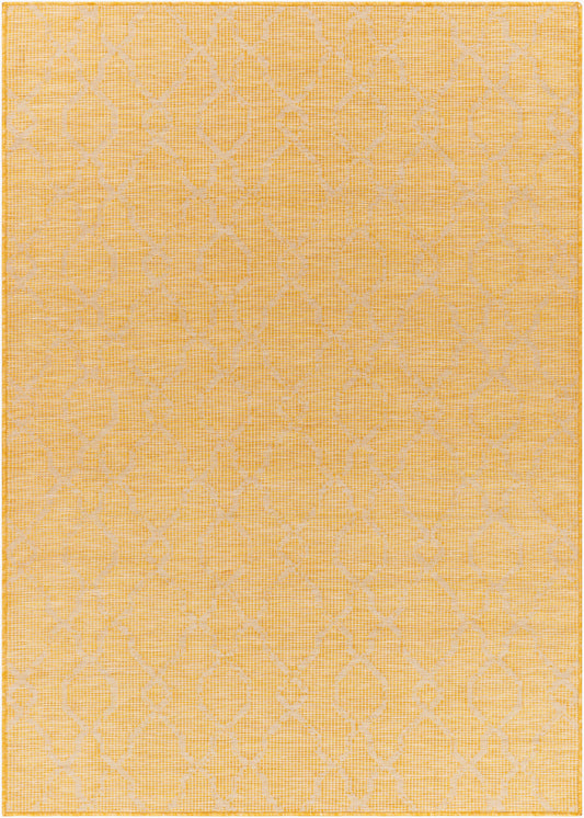 Pasadena PSA-2336 5' x 7' Machine Woven Indoor/Outdoor Area Rug