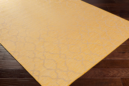 Pasadena PSA-2336 5' x 7' Machine Woven Indoor/Outdoor Area Rug