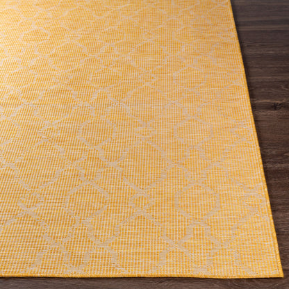 Pasadena PSA-2336 5' x 7' Machine Woven Indoor/Outdoor Area Rug