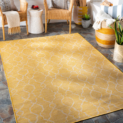 Pasadena PSA-2336 5' x 7' Machine Woven Indoor/Outdoor Area Rug