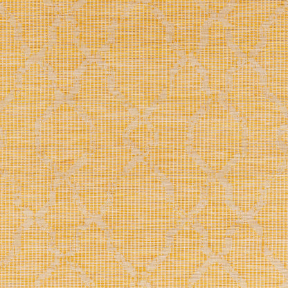 Pasadena PSA-2336 5' x 7' Machine Woven Indoor/Outdoor Area Rug
