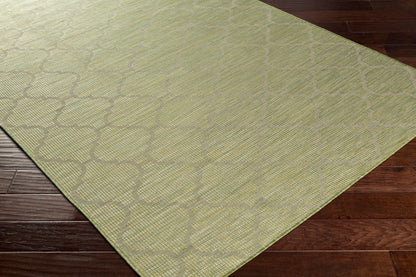 Pasadena PSA-2337 7ft Runner Machine Woven Indoor/Outdoor Runner Rug