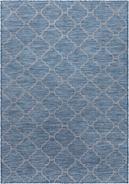 Pasadena PSA-2340 2' x 4' Machine Woven Indoor/Outdoor Accent Rug