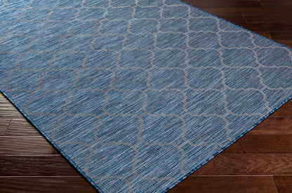 Pasadena PSA-2340 2' x 4' Machine Woven Indoor/Outdoor Accent Rug