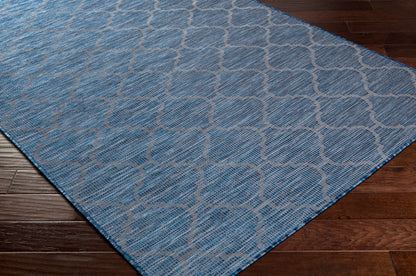 Pasadena PSA-2340 7ft Runner Machine Woven Indoor/Outdoor Runner Rug