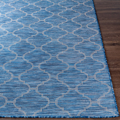 Pasadena PSA-2340 7ft Runner Machine Woven Indoor/Outdoor Runner Rug