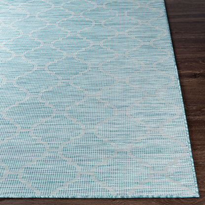 Pasadena PSA-2341 5' x 7' Machine Woven Indoor/Outdoor Area Rug