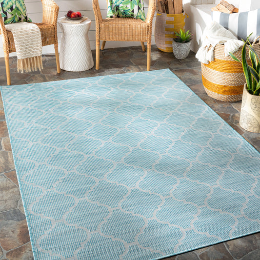 Pasadena PSA-2341 5' x 7' Machine Woven Indoor/Outdoor Area Rug