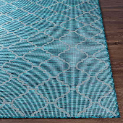 Pasadena PSA-2342 7ft Runner Machine Woven Indoor/Outdoor Runner Rug