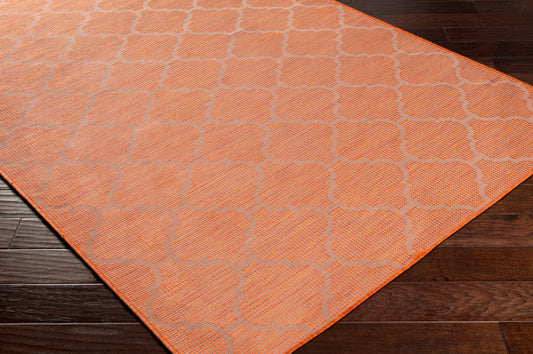 Pasadena PSA-2344 5' x 7' Machine Woven Indoor/Outdoor Area Rug