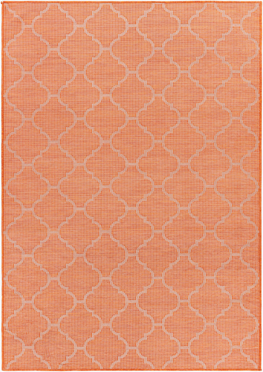 Pasadena PSA-2344 5' x 7' Machine Woven Indoor/Outdoor Area Rug