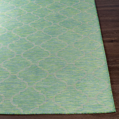 Pasadena PSA-2346 7ft Runner Machine Woven Indoor/Outdoor Runner Rug
