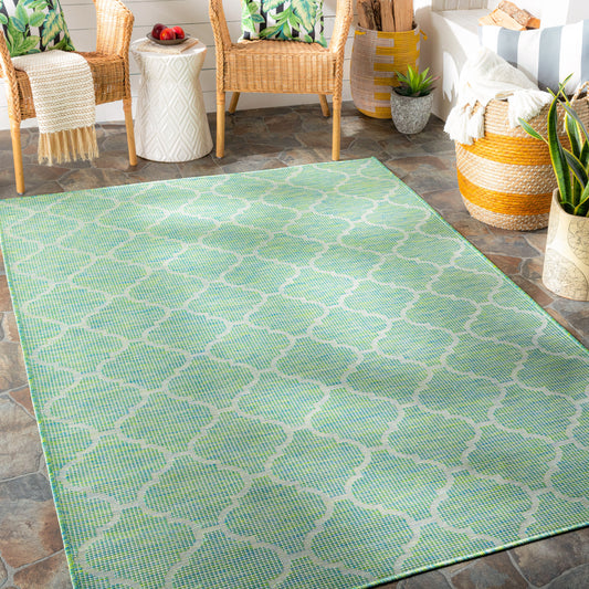 Alfombra Pasadena PSA-2346 de 1,52 m x 2,13 m, tejida a máquina, para interior y exterior