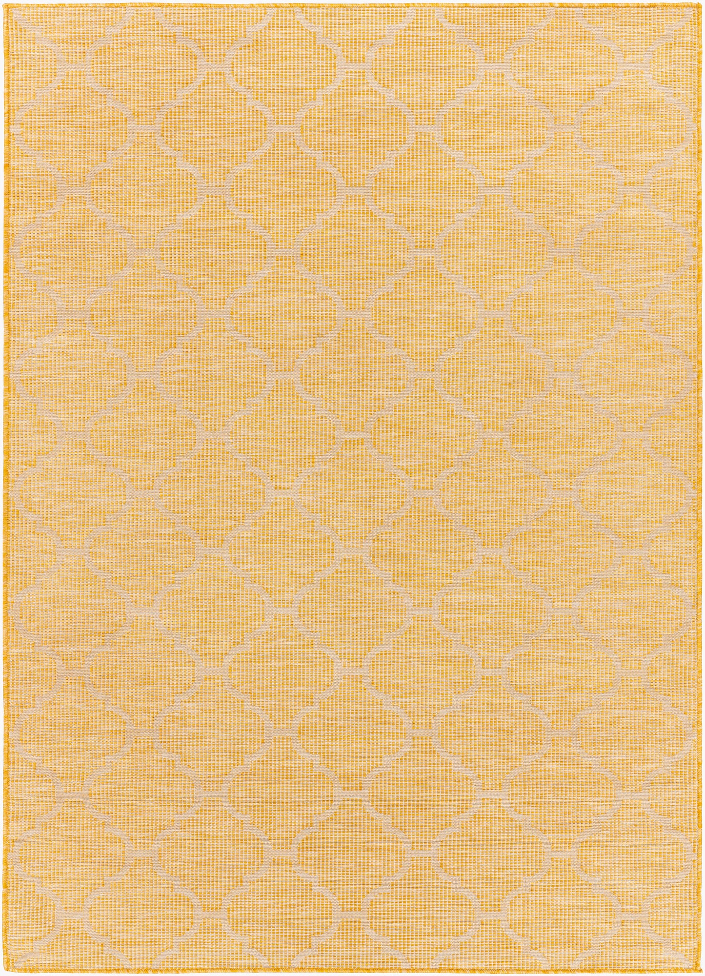 Pasadena PSA-2347 2' x 4' Machine Woven Indoor/Outdoor Accent Rug