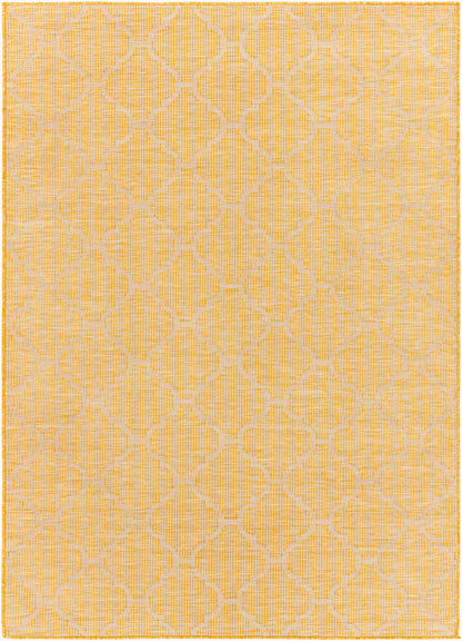 Pasadena PSA-2347 2' x 4' Machine Woven Indoor/Outdoor Accent Rug