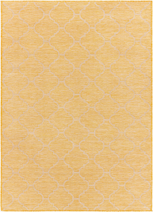 Pasadena PSA-2347 2' x 4' Machine Woven Indoor/Outdoor Accent Rug