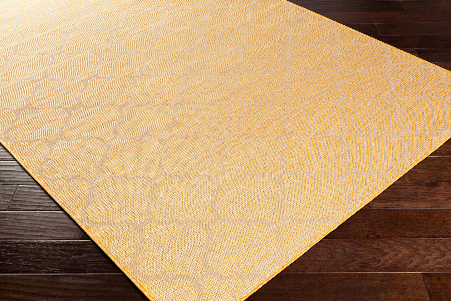 Pasadena PSA-2347 2' x 4' Machine Woven Indoor/Outdoor Accent Rug