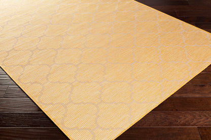 Pasadena PSA-2347 2' x 4' Machine Woven Indoor/Outdoor Accent Rug