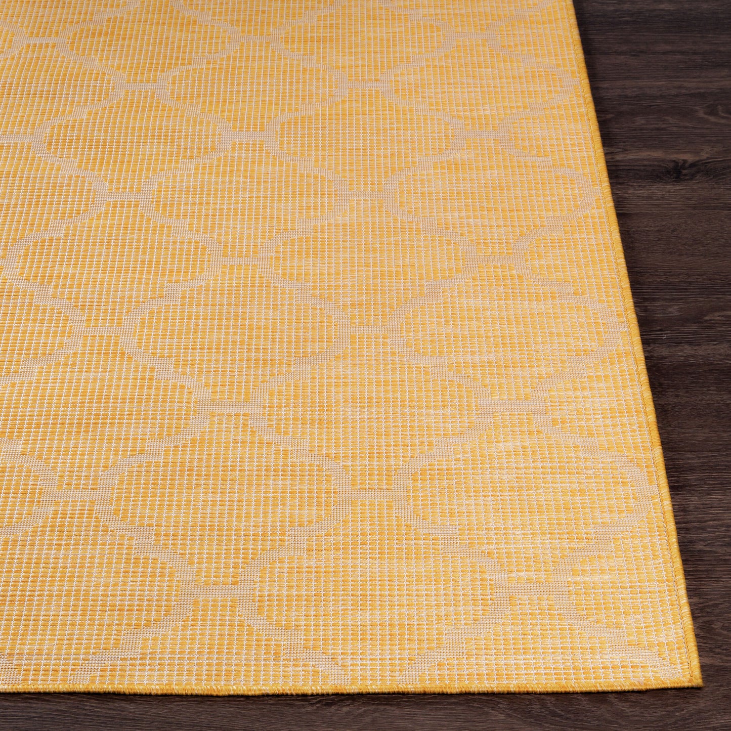 Pasadena PSA-2347 2' x 4' Machine Woven Indoor/Outdoor Accent Rug