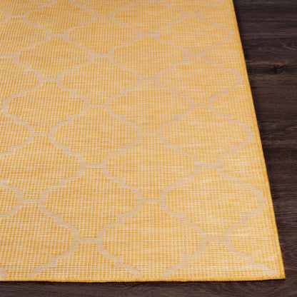 Pasadena PSA-2347 2' x 4' Machine Woven Indoor/Outdoor Accent Rug