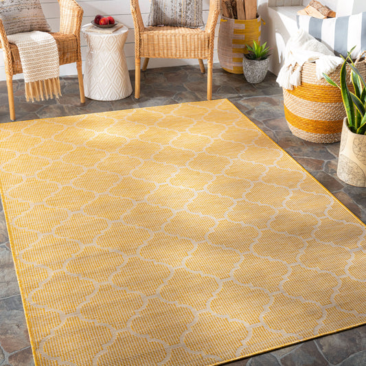Pasadena PSA-2347 2' x 4' Machine Woven Indoor/Outdoor Accent Rug