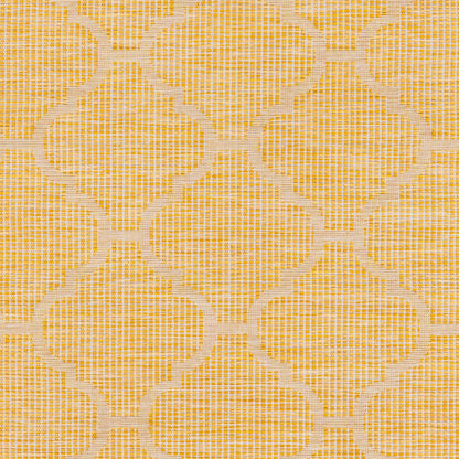 Pasadena PSA-2347 2' x 4' Machine Woven Indoor/Outdoor Accent Rug