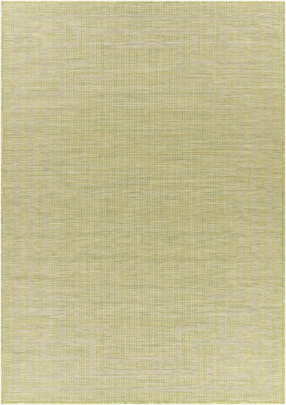 Pasadena PSA-2348 2' x 4' Machine Woven Indoor/Outdoor Accent Rug