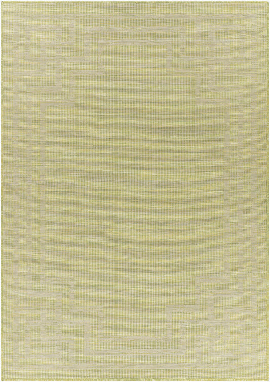 Pasadena PSA-2348 2' x 4' Machine Woven Indoor/Outdoor Accent Rug
